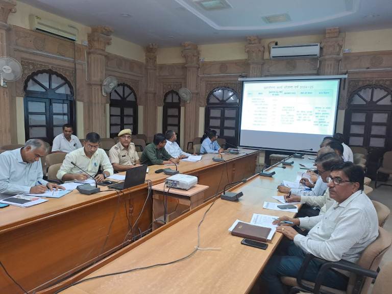 जिला कलक्टर ने ली वृक्षारोपण कार्य योजना वर्ष 2024-25 के संबंध में बैठक