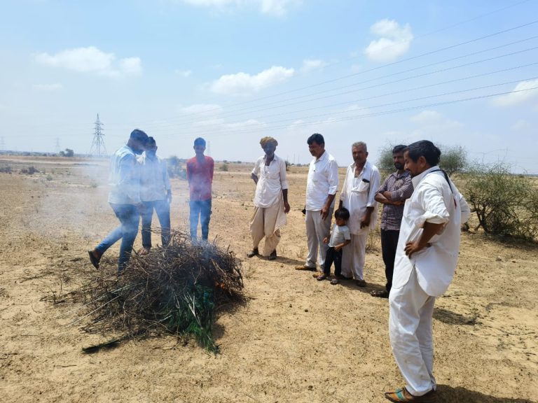 हाईटैसन लाईन से करंट लगने से राष्ट्रीय पक्षी मोर की दर्दनाक मौत