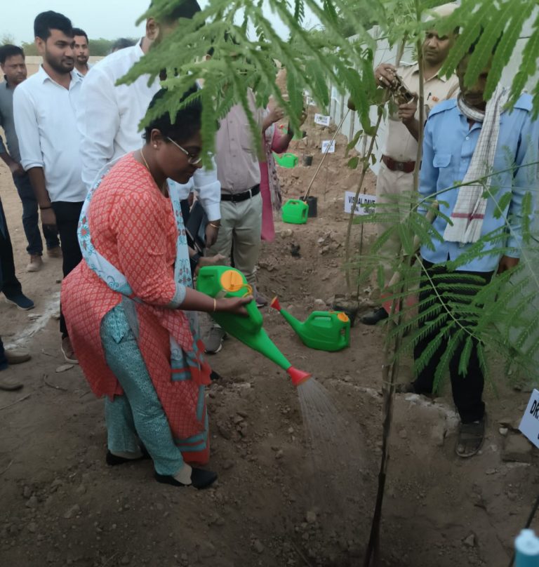 विश्व पर्यावरण दिवस पर हुआ निगम दक्षिण के अधिकारियों ने किया पौधारोपण 