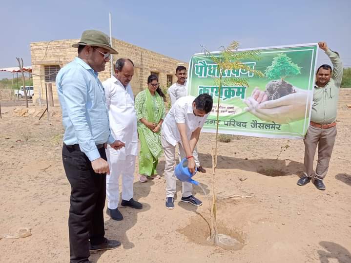 नगरपरिषद सिवरेज ट्रीटमेंट प्लांट परिसर में वृक्षारोपण से बचेगा आस पास का पर्यावरण 