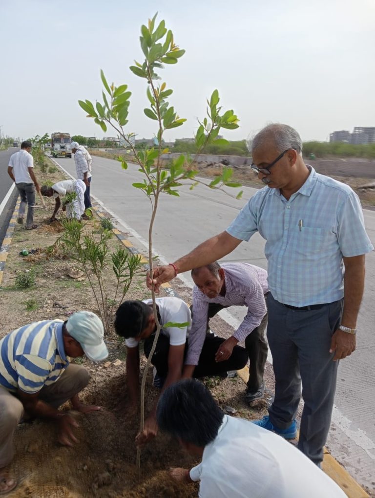 राष्ट्रीय राजमार्ग पर किया पौधारोपण