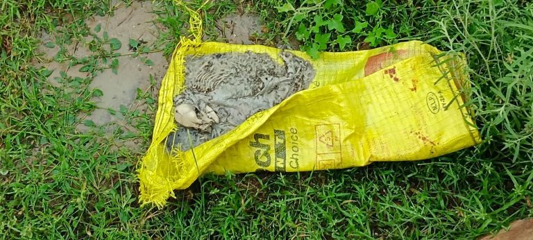 प्लास्टिक कट्टे में मिली नवजात की हड्डीनुमा खोपड़ी