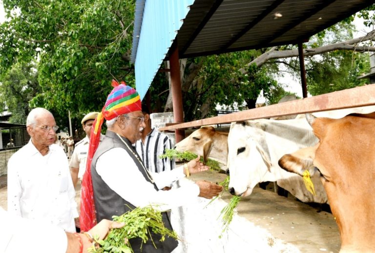 गाय का पूजन कर बछड़े को दुलारा
