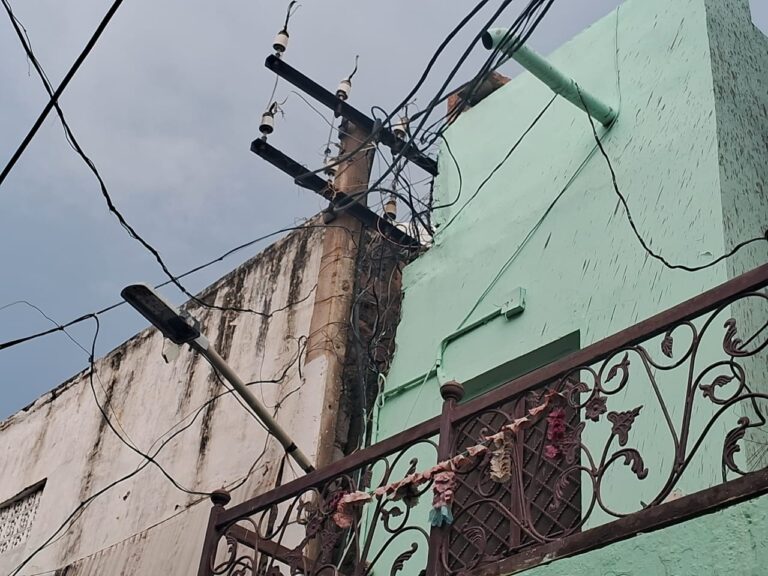 डर के माहौल में जीने को मजबूर चौपासनी सेक्टर 8 के निवासी